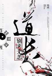 道长别装了100集